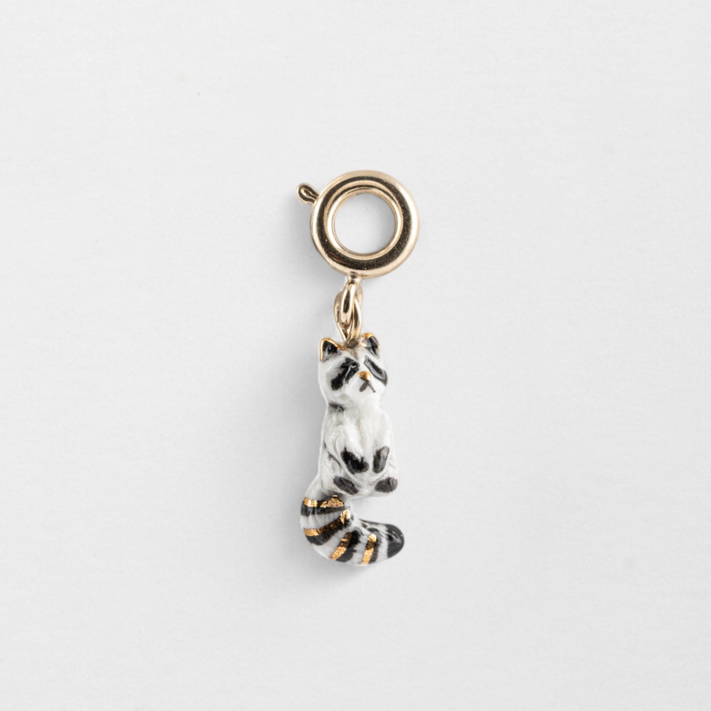 Charm Mapache