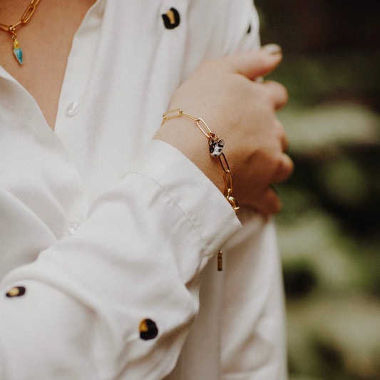 Charm Bulldog Francés