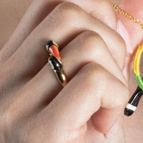 Anillo Tucanes