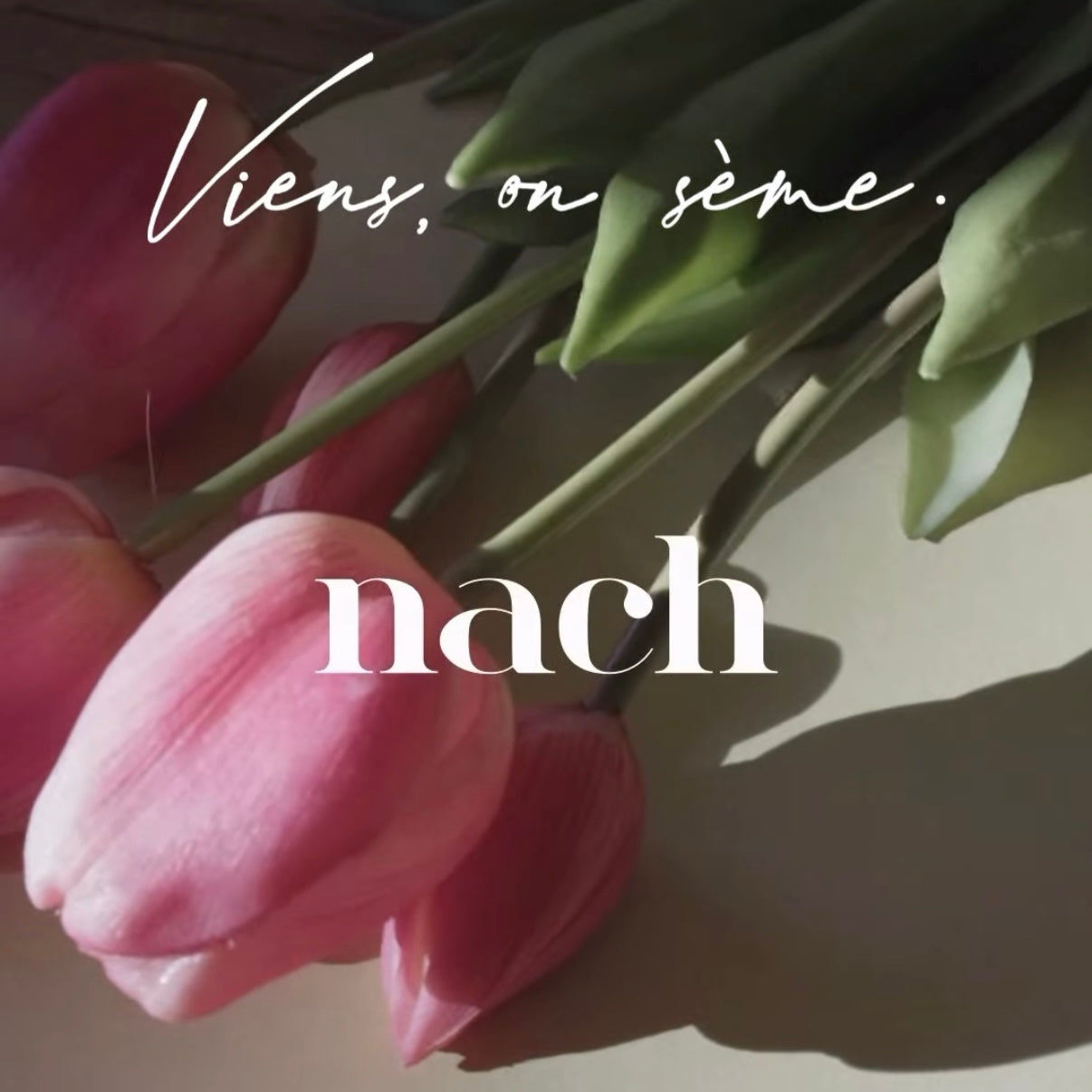 Viens, on sème!