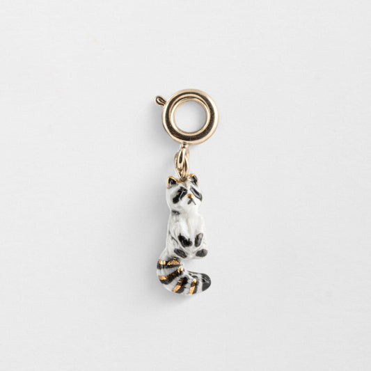 Charm Mapache