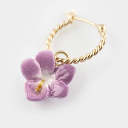 Aro Violeta - Chocolatine