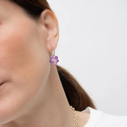 Aro Violeta - Chocolatine