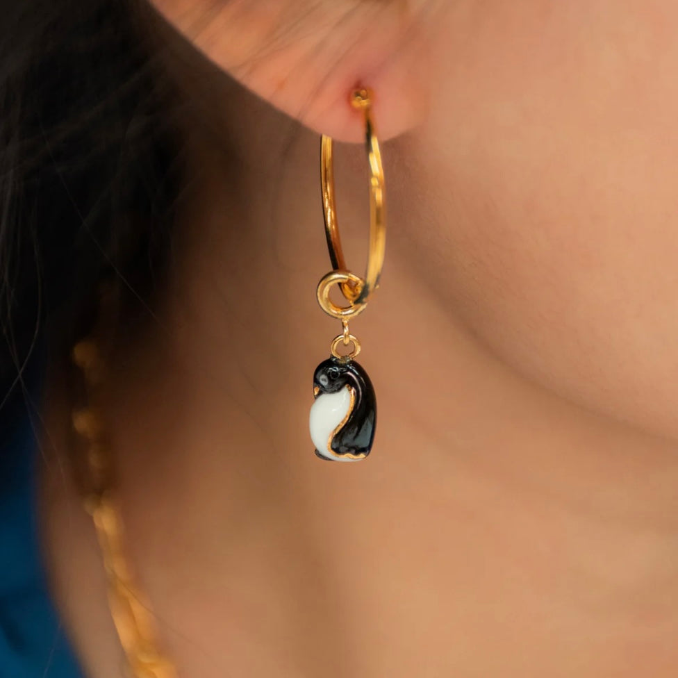 Charm Pingüino