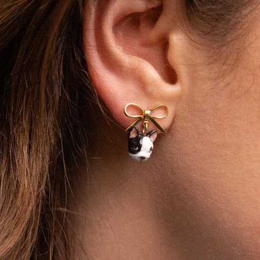 Aros Bulldog Francés y Lazo