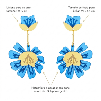Sra. Chan Azul