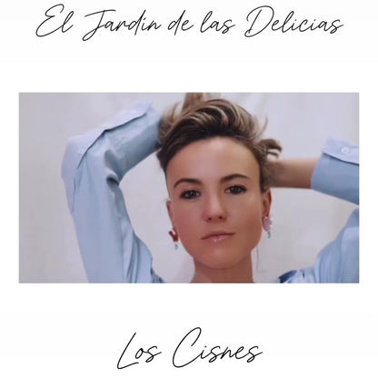 Los Cisnes